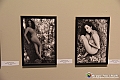 VBS_5864 - 180.ma Esposizione Arti Figurative